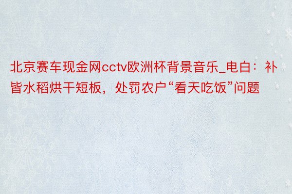 北京赛车现金网cctv欧洲杯背景音乐_电白：补皆水稻烘干短板，处罚农户“看天吃饭”问题